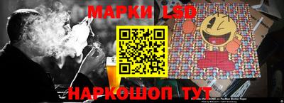 дмт Гатчина