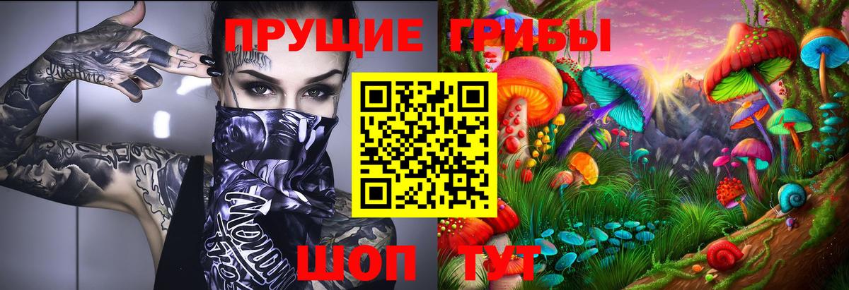 Галлюциногенные грибы Psilocybine cubensis Добрянка