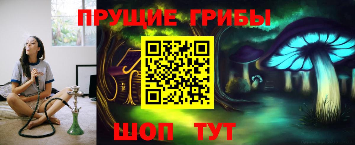 Галлюциногенные грибы GOLDEN TEACHER  Вход с VPN  Добрянка 